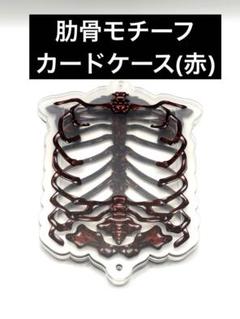 肋骨風アクリルカードケース(赤)