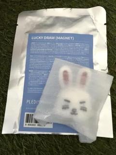 seventeen ミニティーン　チェチェリー　エスクプス　セット　2025 ミニティーン セブチ チェチェリー スンチョル エスクプス