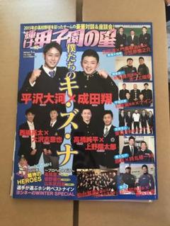 輝け甲子園の星 2016年 01月号のサムネイル
