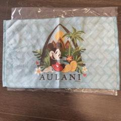 AULANI ディズニー ビーチタオル　大判　新品タグ付き　ハワイ　アウラニ 新品⭐未使用 ハワイ限定 アウラニディズニー 大判バスタオル