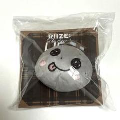 2025年最新】RIIZE ぬいぐるみ バッジの人気アイテム - メルカリ