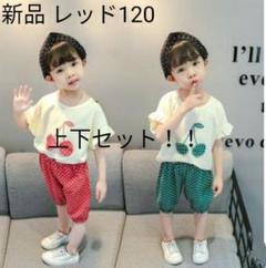 新品 レッド120 チェリー柄 Tシャツ&ショートパンツセットアップ