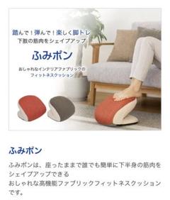 東急スポーツオアシス「ふみポン」フィットネスクッショOASIS ふみポンベルト付 ふみポン|スポーツオアシス公式通販