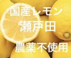 国産瀬戸田レモン28 - メルカリ