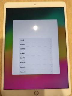 【完動品】iPad Pro 10.5 512GB 【すぐ発送】 Apple iPad Pro 10.5インチ Wi-Fi+Cellular 512GB MPME2J/A SIM