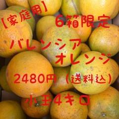 パンダ/訳ありL 2箱セット 国産バレンシアオレンジ4kg x2/箱何でも m15296695148_1.jpg?1751418988