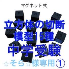 ⭐︎そら⭐︎立体の切断模型 ①②③④⑤⑥⑦⑧⑨⑩セット ⭐︎そら⭐︎様専用立体の切断模型 ①②③④⑤⑥⑦⑧⑨⑩セット