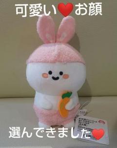 お文具といっしょ あにまるぱんつ ぬいぐるみ 4種セット 缶
