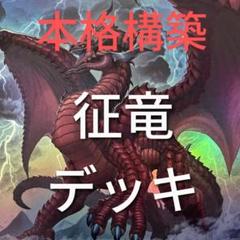 2025年最新】風征竜－ライトニングの人気アイテム - メルカリ