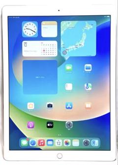 iPad Pro　cellularモデル 12.9インチ ※超美品・大容量