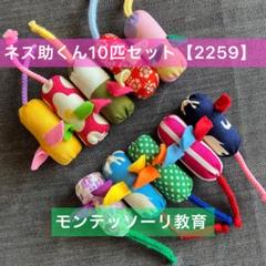 知育玩具　ぽっとん！ネズ助くん10匹セット【2259】