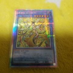 遊戯王カード　オオヒメの御巫 プリズマティックレア オオヒメの御巫 プリズマティックシークレットレアの通販 タナカ