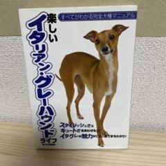 メルカリで1時間以内に売れなければ300円❗「幻のイタリアングレーハウンド」 m16026658532_1.jpg?1714093925