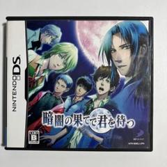 暗闇の果てで君を待つ DS