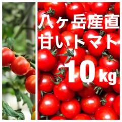 八ヶ岳(長野県) 産 ミニトマト 約10kg バラ 甘くて味が濃い