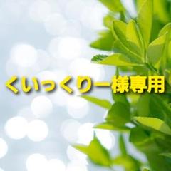 スノーピーク ペグ ハンマー PRO.C N-001