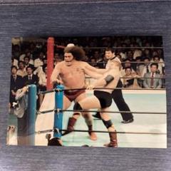 プロ格ヒーローズ　スタンハンセンVSアンドレザジャイアント　プロレスフィギュア プロ格ヒーローズ スタンハンセンVSアンドレザジャイアント