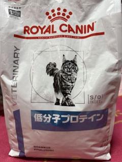 2025年最新】ロイヤルカナン 低分子プロテイン 猫の人気アイテム