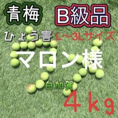 106 えいちゃん様　青梅　Mサイズ　20キロ 106 えいちゃん様青梅Mサイズ20キロ