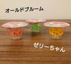 ゼリーちゃん《ブルーム》☆オールドブルーム☆ - メルカリ