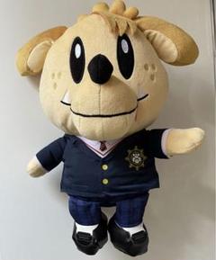 2025年最新】片寄涼太 ジェネ犬の人気アイテム - メルカリ