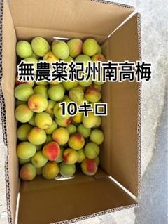Kazu Lab無農薬紀州南高梅10キロ Kazu Lab様専用無農薬紀州南高梅10キロ - メルカリ