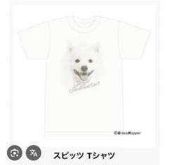 2025年最新】スピッツ tシャツ lの人気アイテム - メルカリ