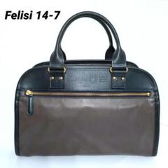 ✨極美品✨Felisi　2way ミニボストンバッグ　キャンバス×レザー