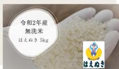 令和2年 はえぬき 無洗米 5kg 山形県尾花沢産 新米 ご自宅用