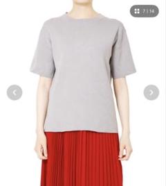 LE CIEL BLEU Cotton Knit Tee グレー 半袖のサムネイル