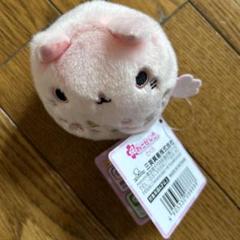 2025年最新】桜ねこだんごの人気アイテム - メルカリ