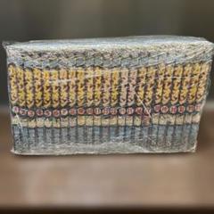 ネットカフェ落ち］カメレオン1-47巻セット - メルカリ