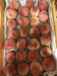 583早勝ち福島産 朝採り完熟桃箱込み10kg訳あり家庭用甘くて
