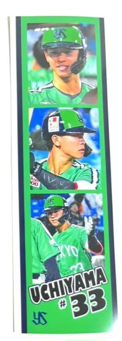 東京ヤクルトスワローズ 2023年ファン感謝デー限定内山壮真セット 62 【内山壮真】2023 東京ヤクルトスワローズ ユーズドボール