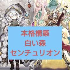 白き森センチュリオン」の激安通販 | magi