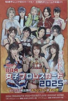 BBM 2024 女子プロレスカード 新品未開封ボックス シュリンク付き 楽天市場】BBM 女子プロレスカード2024 Box 5/11発売！ : カード