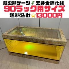 爬虫類ケージ903045複数台付け木背面