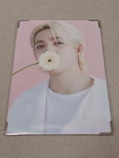 SEVENTEEN セブチ　エスクプス　プレミアムフォト seventeen FOLLOW プレミアムフォト 展示会 セブチ エスクプス