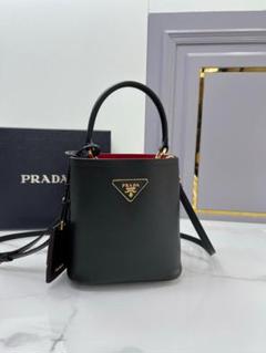 PRADA プラダ パニエ サフィアーノレザー スモールバッグ