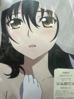 ストライク・ザ・ブラッド　藍羽浅葱　抱き枕 カバー　スペシャルイベント限定 Amazon.co.jp: 藍羽浅葱 抱き枕カバー ストライク ザ ブラッド