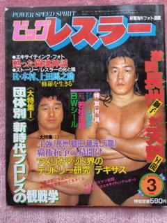 レスラー名鑑 Best fighters ビッグレスラー 新年創刊号付録 Yahoo!オークション - 【付録のみ】レスラー名鑑 (ビッグ