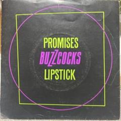BUZZCOCKS パンク天国　uk punk new wave パワーポップ