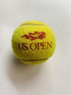 人気が高い 未使用】硬式テニスボールDunlopFORT WilsonUsopen計62球（2024 ボール