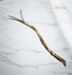 シンプルに美しい流木180cm　梱包・発送たのめる便　硬質　美品　カフェ風　雑貨
