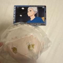 ハイキュー 星海光来 もちマスwa 2025年最新】星海光来 もちマスの人気アイテム - メルカリ