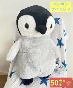 ペンギンアイランド 皇帝ペンギン赤ちゃん ひなちゃん