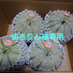 ⑥ゆきりん　長崎産赤肉マルセイユメロン‼️ 赤肉メロン マルセイユメロン 6玉入 | 果物/メロン 産直アウル