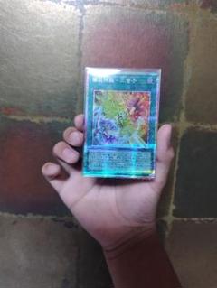 遊戯王OCG 二重の魔法 ホロレア