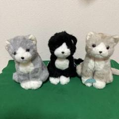 モンスイユ　 MAY BLUE シャム猫シリーズ　黒猫 ぬいぐるみ レア モンスイユ MAY BLUE シャム猫シリーズ 黒猫 ぬいぐるみ レア