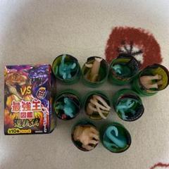 異種最強王図鑑　選抜編　チョコエッグキッズ　シークレットS1 S2 含む　全9種 異種最強王図鑑選抜編チョコエッグキッズシークレットS1 S2 含む